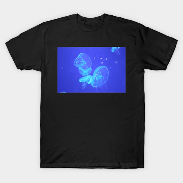 Jellyfish Blue 1 T-Shirt by robsteadman